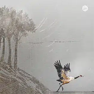 Lien vers Page Les oiseaux