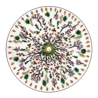 mandala thème hiver nature